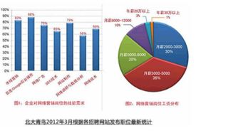 互聯(lián)網(wǎng)營銷助力北京輔導(dǎo)學(xué)校招生 策略、案例與未來趨勢(shì)